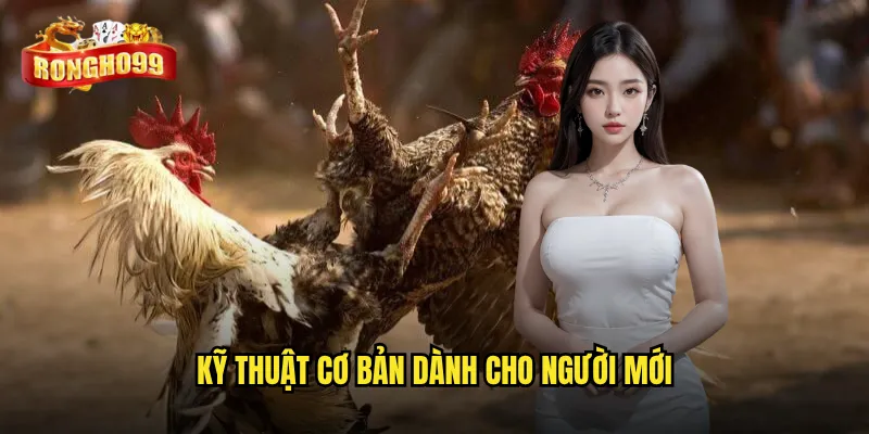 Bế gà đá Rongho99 đúng cách có giúp gà ra đòn mạnh hơn không? 2 Kỹ thuật cơ bản dành cho người mới