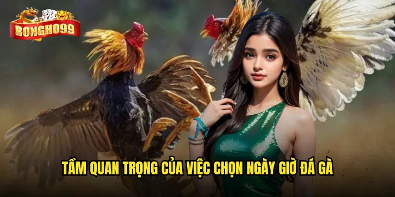 Coi ngày đá gà theo phong thủy tại Rongho99 có thật sự linh nghiệm? 2 Tầm quan trọng của việc chọn ngày giờ đá gà