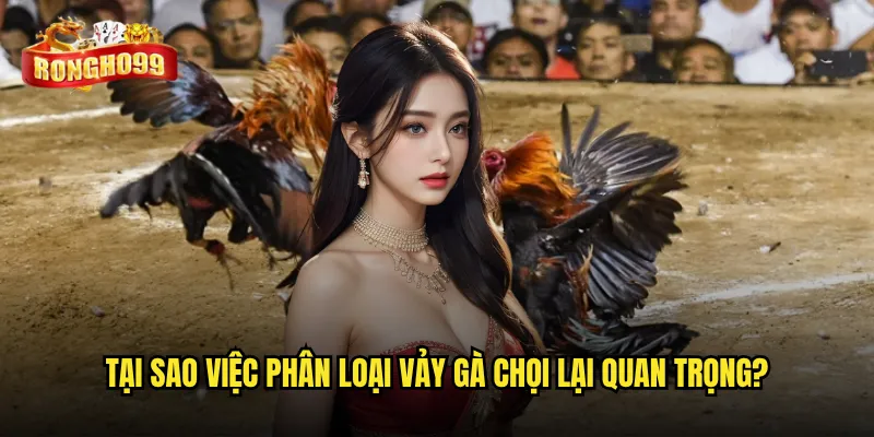 Làm sao để nhận biết các kiểu vảy gà chọi chuẩn như chuyên gia Rongho99? 2 Tại sao việc phân loại vảy gà chọi lại quan trọng?