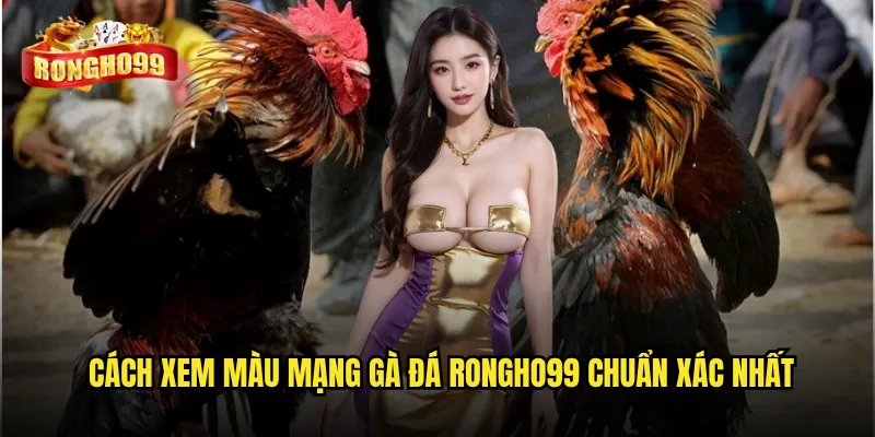 Bí ẩn đằng sau màu mạng gà đá tại Rongho99 có thật sự ảnh hưởng đến vận may? 3 Cách xem màu mạng gà đá Rongho99 chuẩn xác nhất