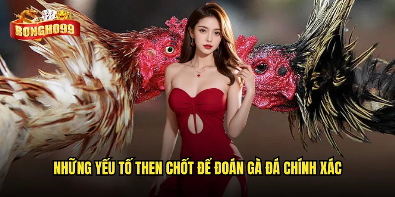 Có phải ai cũng có thể đoán gà đá hay như những chuyên gia tại Rongho99? 2 Những yếu tố then chốt để đoán gà đá chính xác